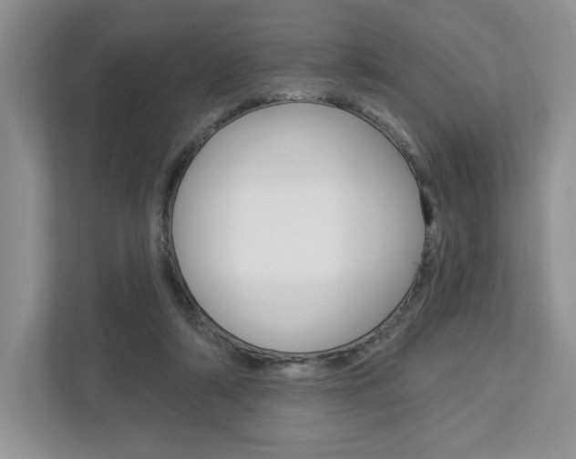 X0000112940306200908241012