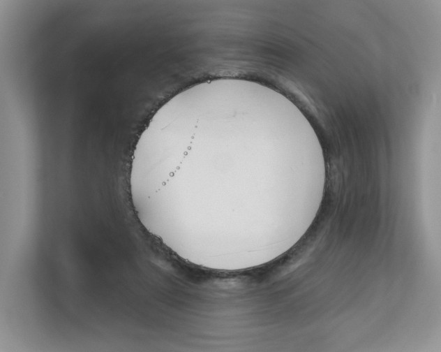 X0000112940307200908241012