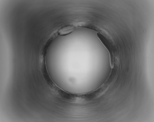 X0000112940308200908241012
