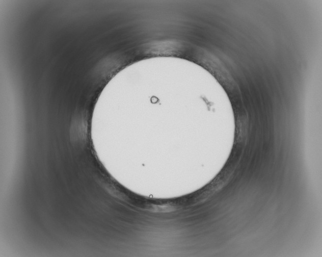 X0000112940309200908241012