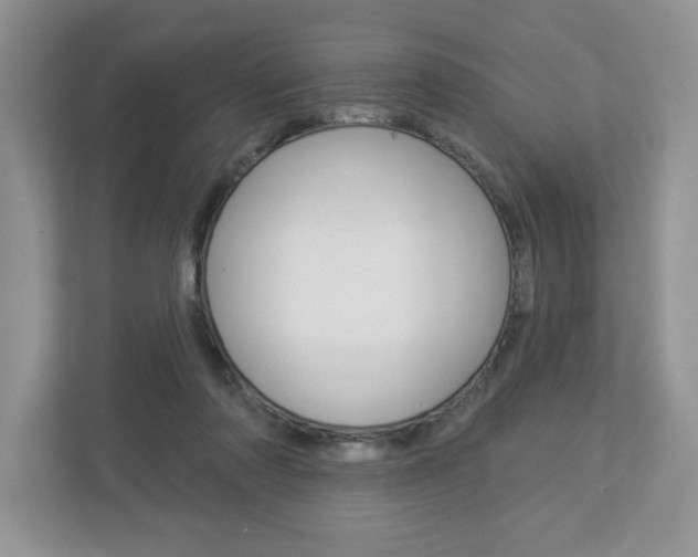 X0000112940310200908241012