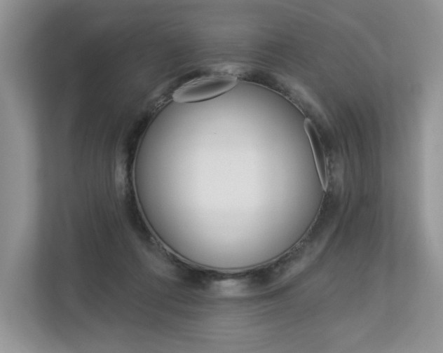 X0000112940312200908241012
