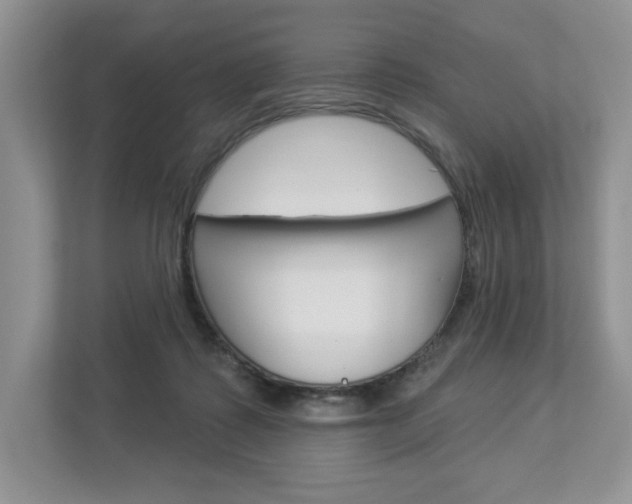 X0000112940315200908241012