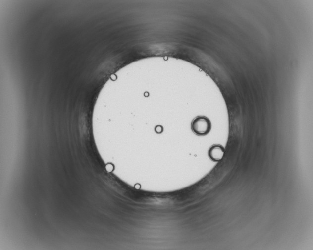 X0000112940317200908241012