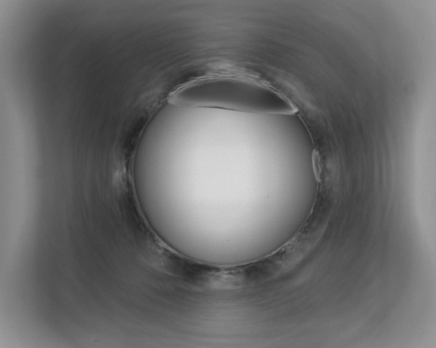X0000112940320200908241012