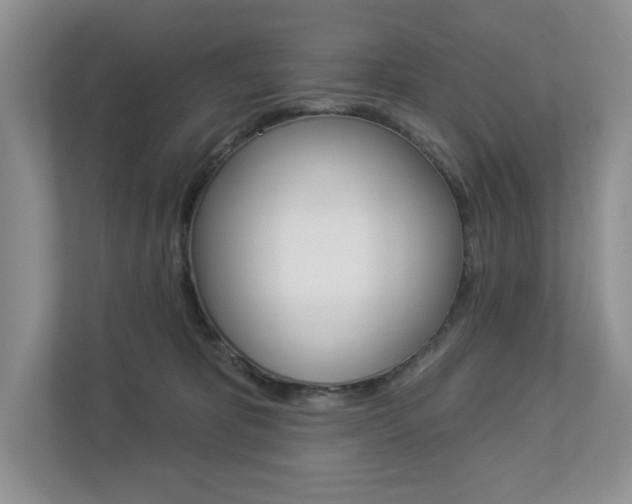 X0000112940325200908241012