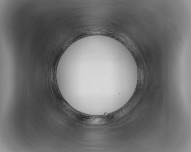X0000112940326200908241012