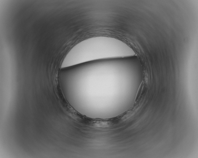 X0000112940332200908241012