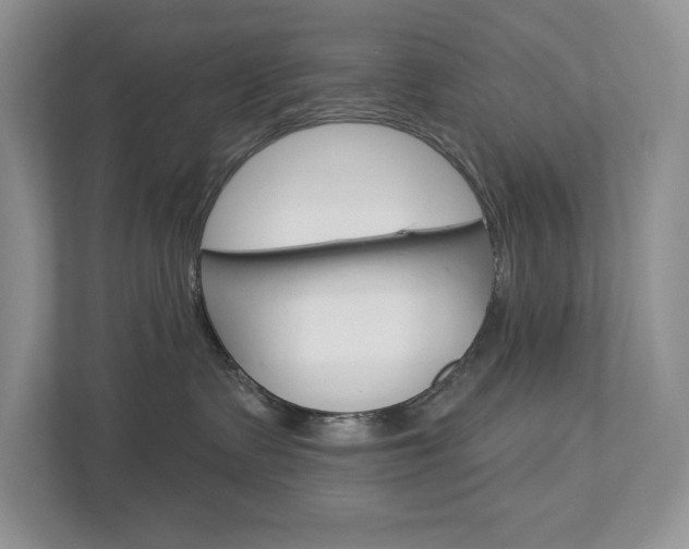 X0000112940335200908241012