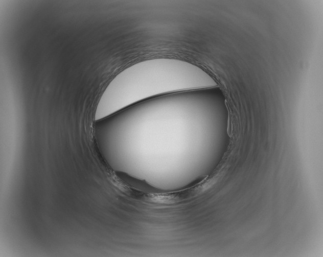 X0000112940336200908241012