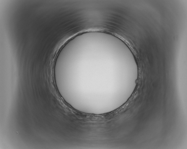 X0000112940337200908241011