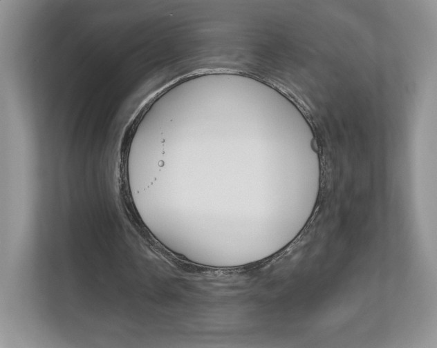 X0000112940338200908241011