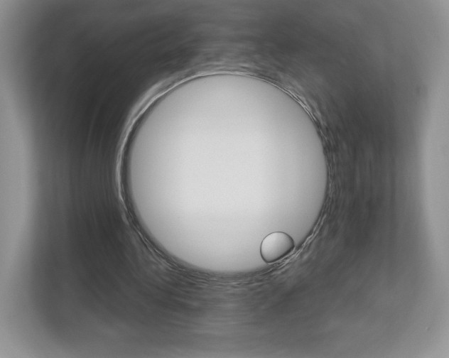 X0000112940340200908241011