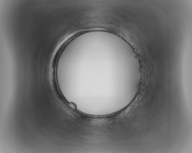 X0000112940342200908241011