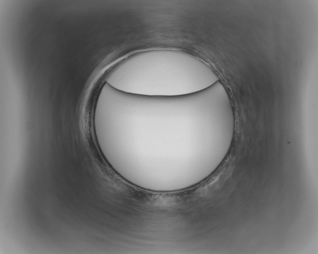 X0000112940343200908241011