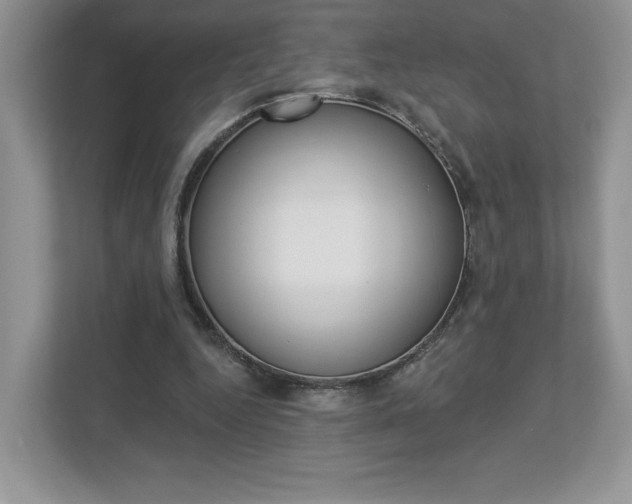 X0000112940344200908241011