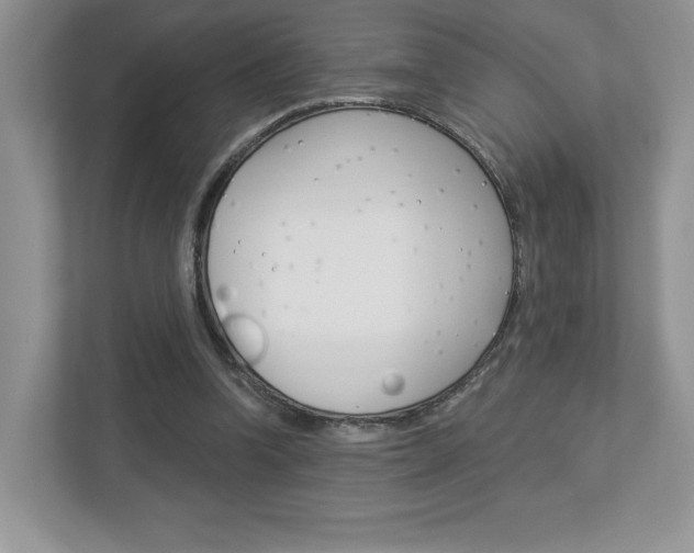 X0000112940346200908241011