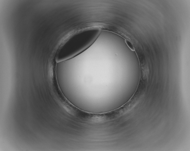 X0000112940350200908241011
