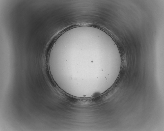 X0000112940351200908241011