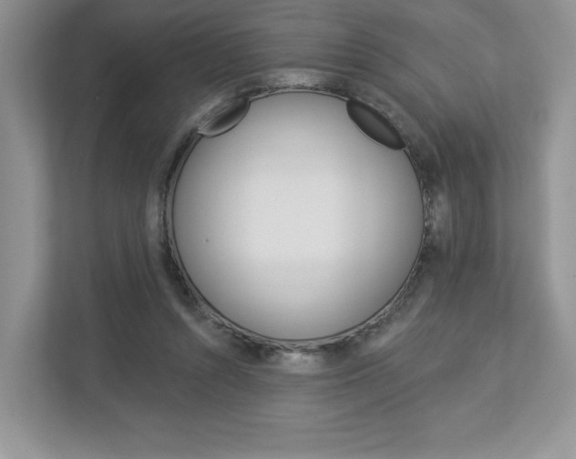 X0000112940352200908241011