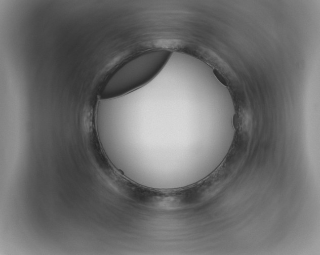 X0000112940356200908241011