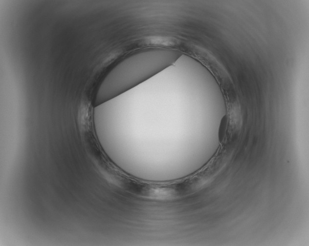 X0000112940360200908241011