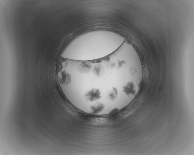 X0000112940361200908241011