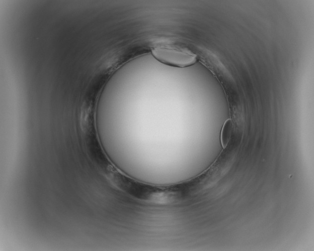 X0000112940364200908241011
