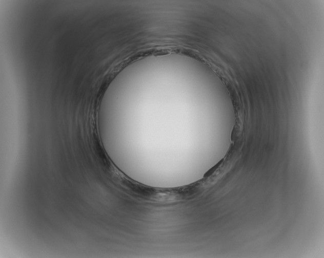 X0000112940376200908241012