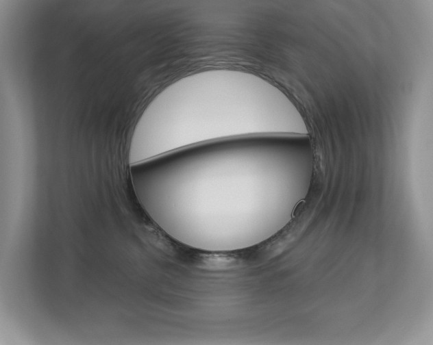 X0000112940380200908241012