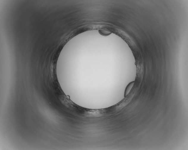 X0000112940381200908241012