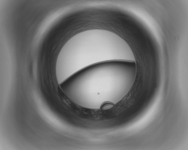 X0000112940382200908241012