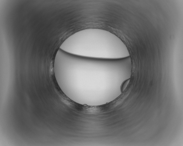 X0000112940383200908241012