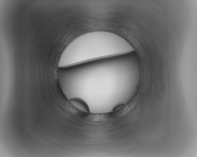 X0000112940384200908241012