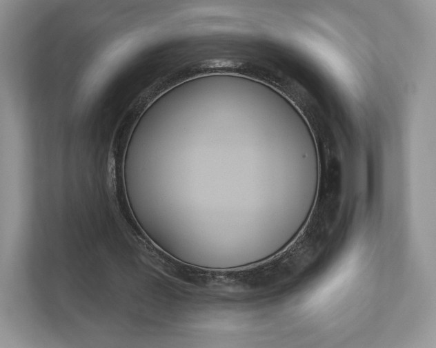 X0000112940387200908241011