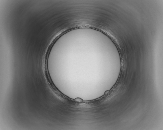 X0000112940390200908241011