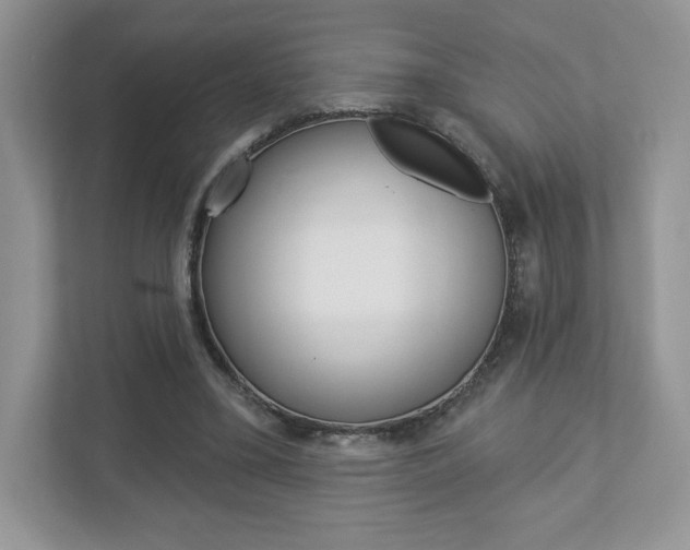 X0000112940395200908241011