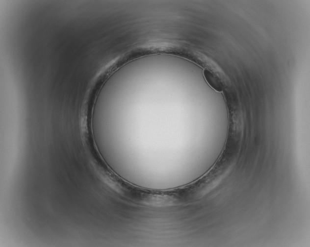 X0000112940399200908241011