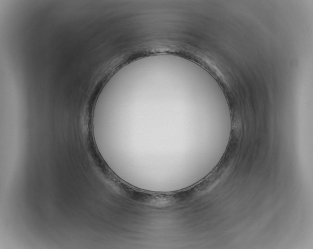 X0000112940402200908241011
