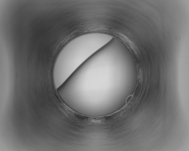 X0000112940405200908241011