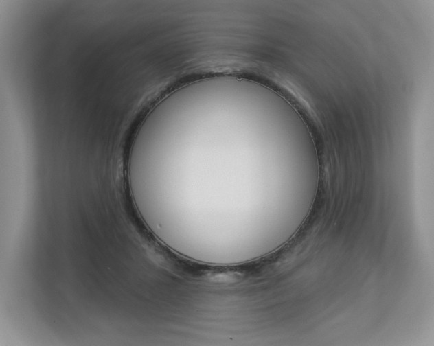 X0000112940407200908241011