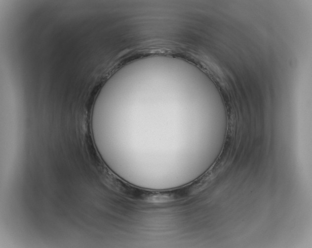 X0000112940413200908241011