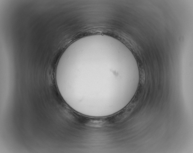 X0000112940414200908241011