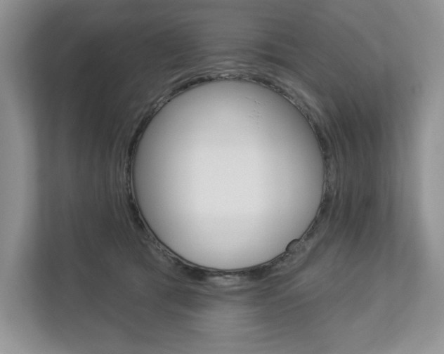 X0000112940417200908241011