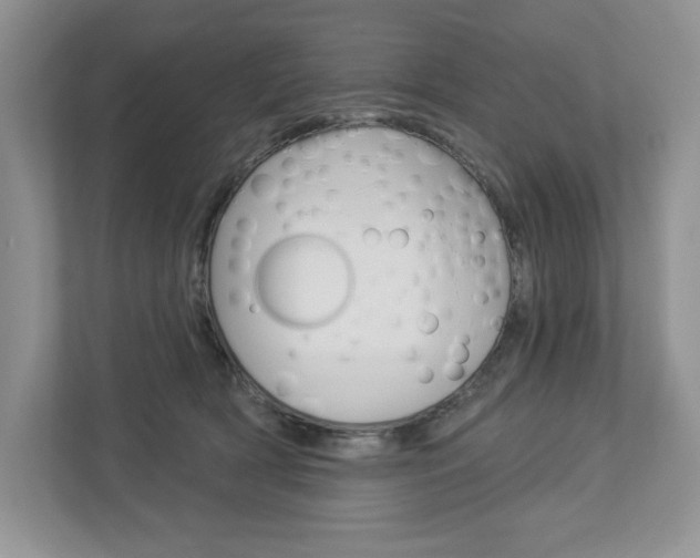 X0000112940418200908241011