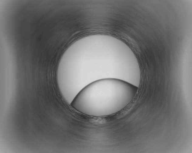 X0000112940421200908241011
