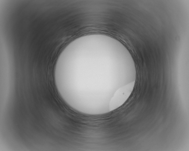 X0000112940423200908241011