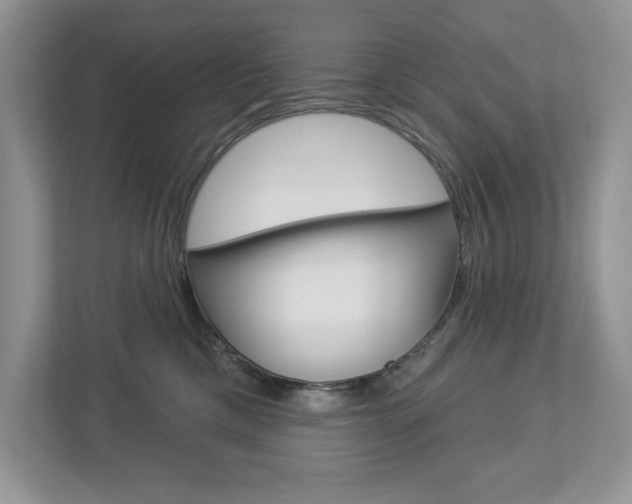 X0000112940425200908241010
