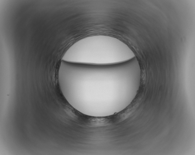 X0000112940428200908241010