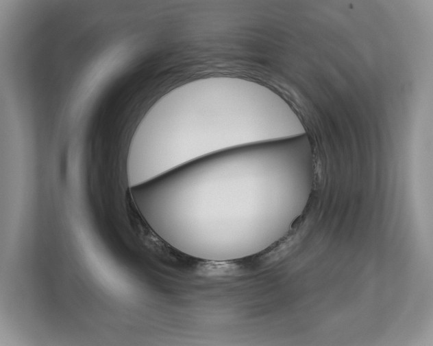 X0000112940429200908241010